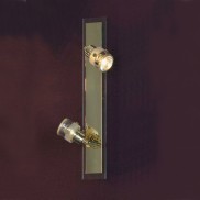 Настенно-потолочный светильник LUSSOLE LSL-5201-02