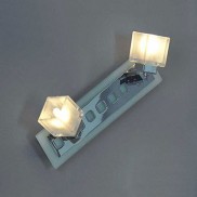 Настенно-потолочный светильник LUSSOLE LSL-2101-02