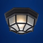 Уличный светильник EGLO 5389